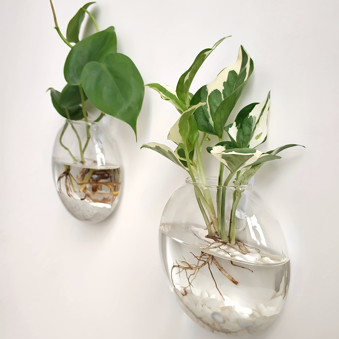 أصيص زهور من Terrarium لتزيين  - مراجعة Home Office Form وسعره