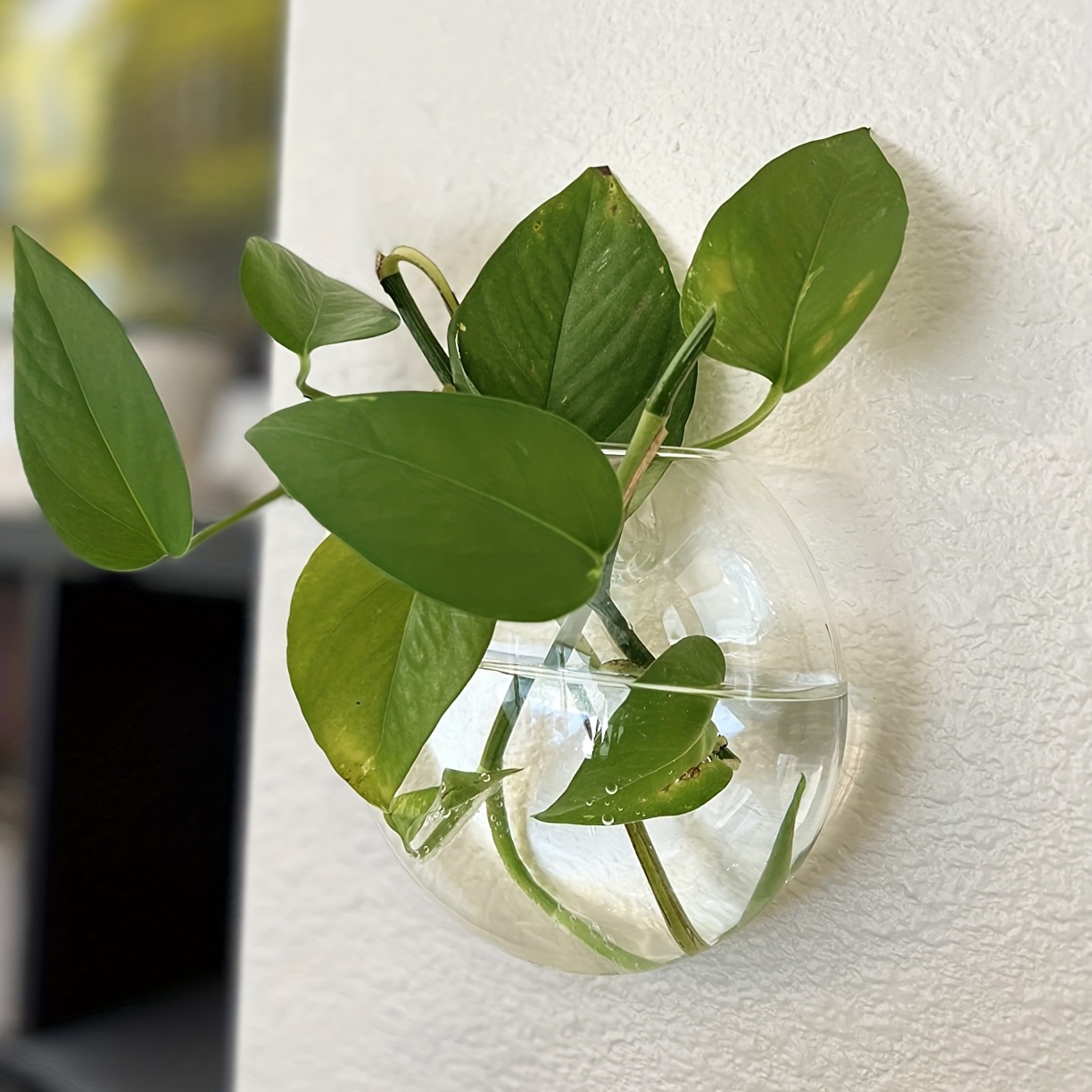 أصيص زهور من Terrarium لتزيين  - مراجعة Home Office Form وسعره