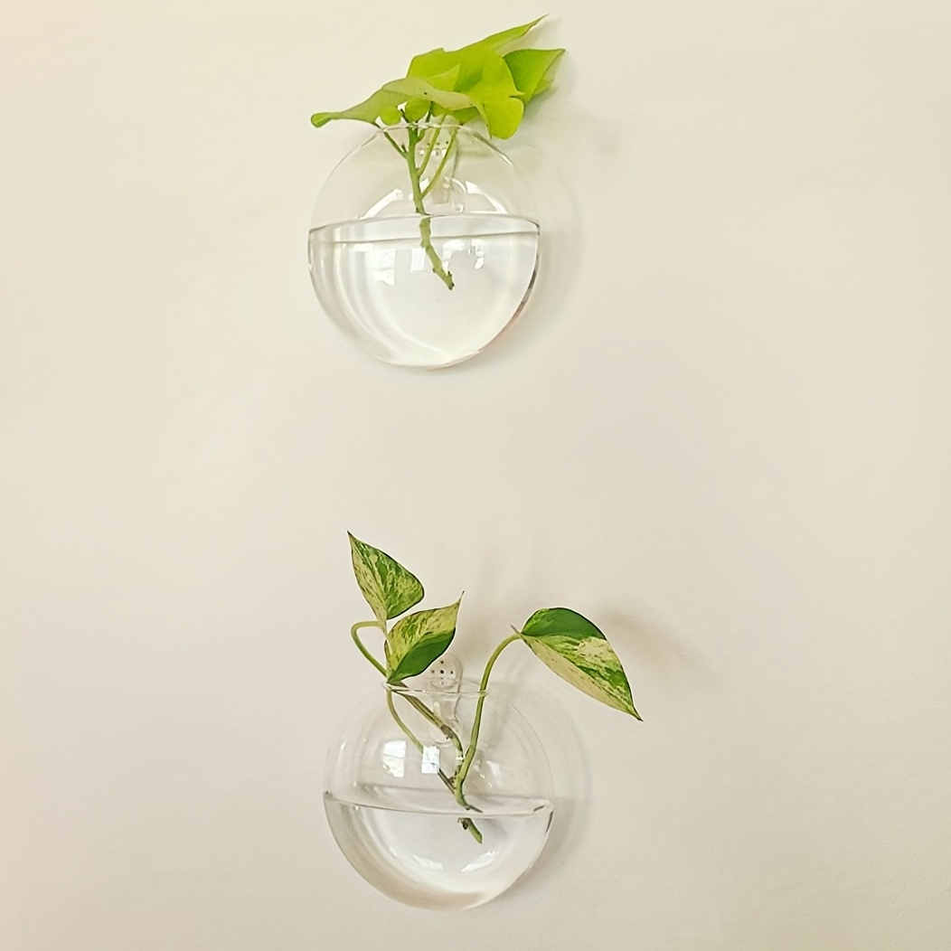 أصيص زهور من Terrarium لتزيين  - مراجعة Home Office Form وسعره