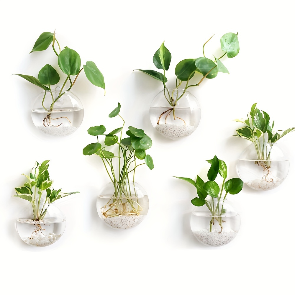 أصيص زهور من Terrarium لتزيين  - مراجعة Home Office Form وسعره
