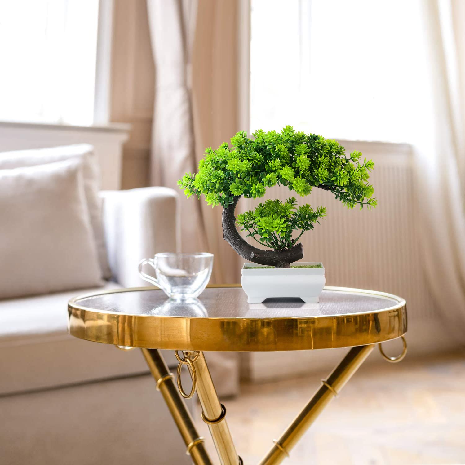 نباتات صناعية صغيرة على شكل زه - مراجعة Home Office With Bookshelves وسعره