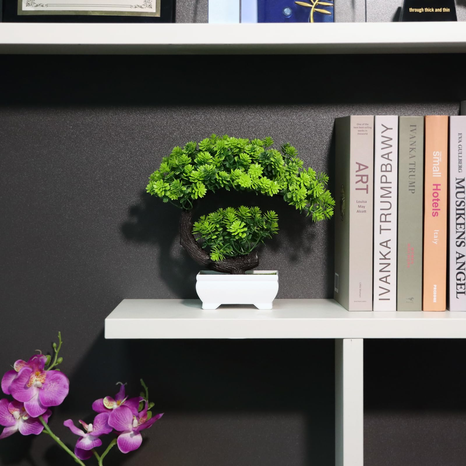 نباتات صناعية صغيرة على شكل زه - مراجعة Home Office With Bookshelves وسعره